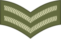 Corporal (British Army)[45]