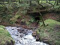 Believed to be part of an old Iron Works