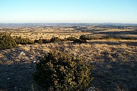 Paysage proche de la steppe sur le causse du Larzac.