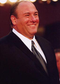 James Gandolfini, actor american de origine italiană