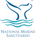 Thumbnail for National Marine Sanctuary