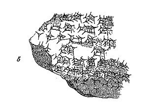 Còpia d’una tauleta de Nippur de l’època cassita: carta d’Ili-ippashra, governador de Dilmun, a Enlil-kidinni, governador de la ciutat. Segona meitat del segle xiv aC