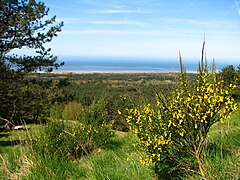 Vue de la Manche depuis le Mont Saint-Frieux, entre Boulogne et Le Touquet, sur la Côte d'Opale.