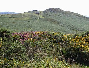 National park Dartmoor