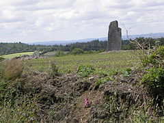 Saint-Goazec : l'alignement de menhirs de Trimen 1