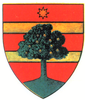 Coat of arms of Județul Mureș