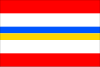 Flag of Trmice