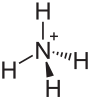 Ammonium-Kation