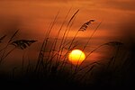 Thumbnail for File:Fort Myers Beach Sunset3.jpg