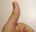 thumb