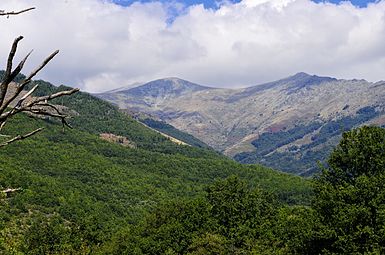 Pogled na Babo iz samostana Brajčino v vasi Brajčino