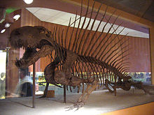 Dimetrodon.jpg