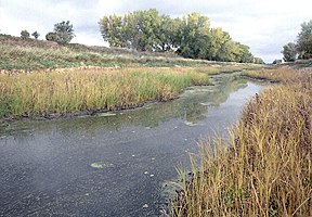 Bua de Sju netoli Traverso ežero (Minesota/Pietų Dakota)