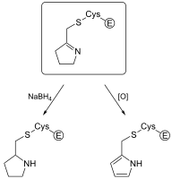 Figure 2 Experimental Evidence for Eflornithine End Product[30]