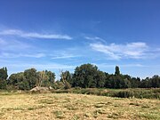 Restanten van spoorlijn 68 in het landschap ter hoogte van de Leie.