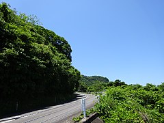 道路の山側