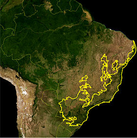 Mapa da ecorregião da Mata Atlântica definida pelo WWF. A linha amarelo escuro representa os limites dessa ecorregião. Imagem de satélite da NASA.