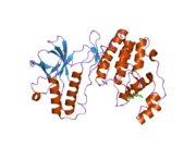 2fsm: Mitogen activated protein kinase p38alpha (D176A+F327S) activating mutant form-B