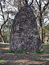 Menhir de Saint-Guillaume