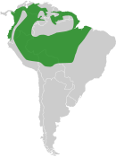 Northern South America, excluding the Andes mountains and the Brazil/Venezuela border