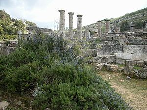 Il santuario di Apollo