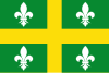 Flag of Derio