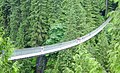 Capilano Suspension Bridge, supported by its handrail cables