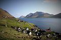 Das Dorf Kunoy von Norden aus gesehen. Im Hintergrund Kalsoy.