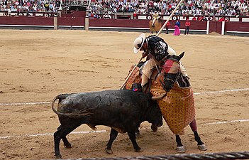 Picador amb garrocha