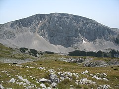 Vlasulja, najviši vrh Volujka