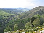 Contraste de la végétation entre un adret, caractérisée par une lande à genêt purgatif, et un ubac, recouvert par une hêtraie, dans une vallée du Massif central (vallée de la Biourière en Aubrac).