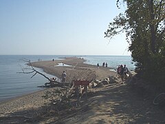 Point Pelee tip looking South, 2007