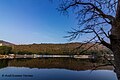 The lake in morning