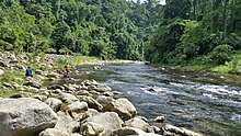 An image of the Cuyamel river curving around a bend into the right