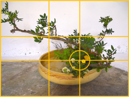 Ikebana-Komposition, 2005.