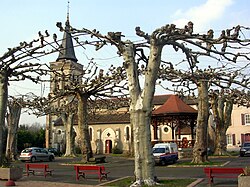 Skyline of Arengosse