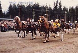 Vieteri ja Kaarlo Partanen keltaisessa ajoasussaan Mikkelin raviradalla vuoden 1977 tai 1978 Savon Sanomain ajossa.