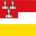 Vlag van Eemnes