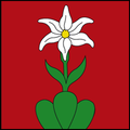 Illgau