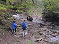 Gorbeiako Natura Parketik trekking egiten