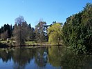 View of the pond