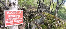 Photographie d'un panneau où on peut lire que la Réserve de Chasse et de Faune Sauvage est approuvée par l'État français, en rouge et blanc dans une forêt. Il est apposé sur un arbre au tronc blanc.