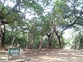 Jogging track inside the Jahanpanah City Forest