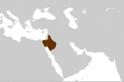 The Nabataean Kingdom at its greatest extent