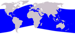 Indo-Pacific dolphin range