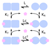 MWC_Structure