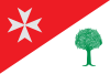 Bandeira de Binaced