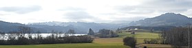 Blick auf „Insel“ im Niedersonthofener See