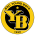 BSC Young Boys