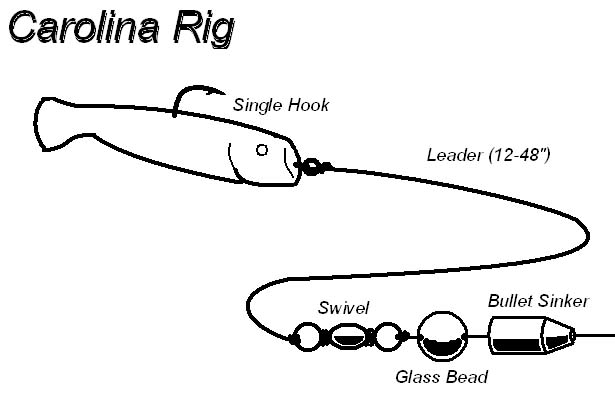 File:Carolina-rig.jpg